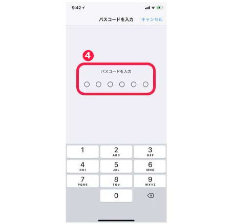 （キャプチャ）パスコード入力画面