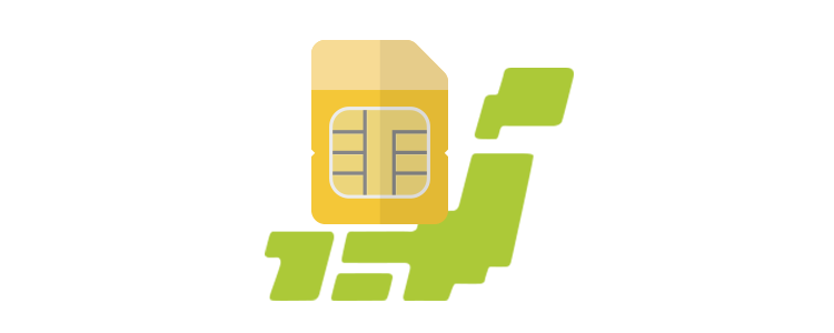 （イメージ）デリバリーSIM